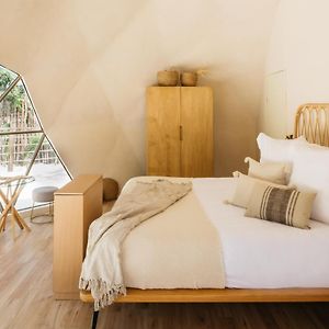 Habitación Deluxe con Cama King